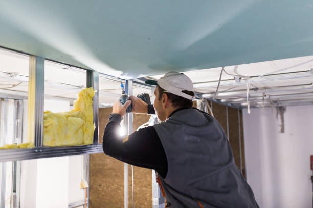 Best Affordable Insulation Services  in Windy Hills, KY