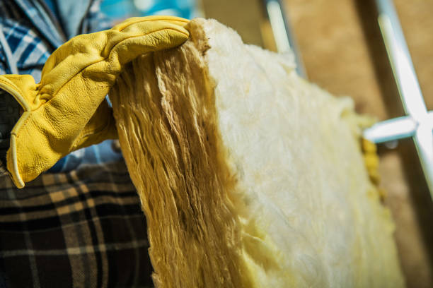Best Insulation Contractors for Homes  in Windy Hills, KY