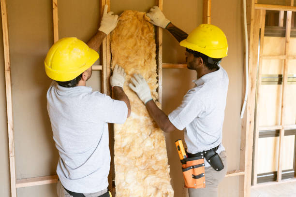 Best Home Insulation Services  in Windy Hills, KY